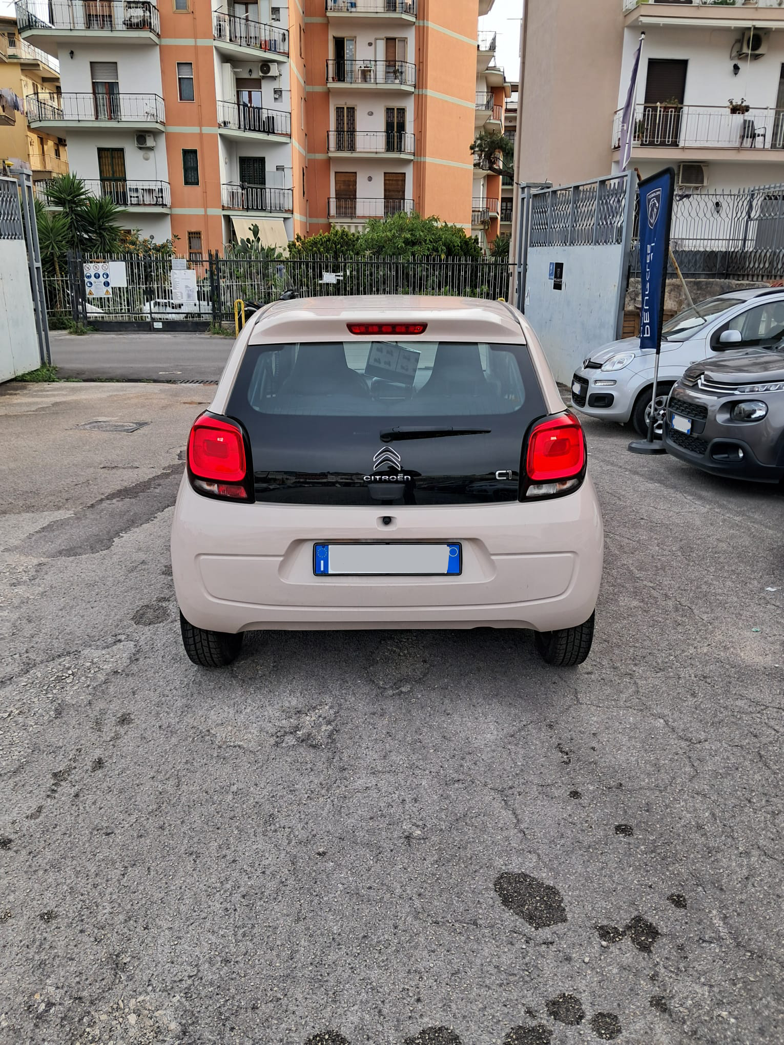 Image 5