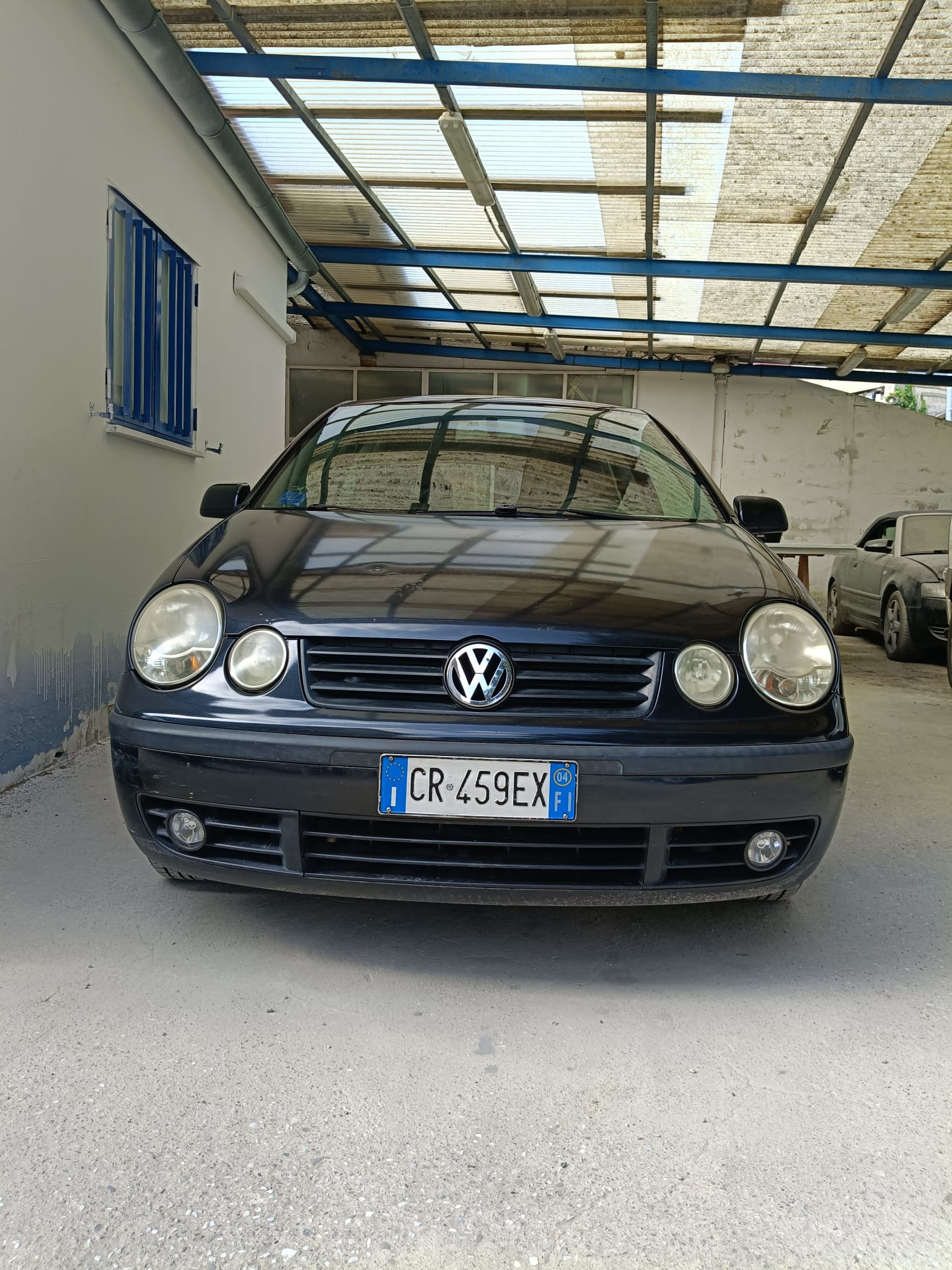 Polo