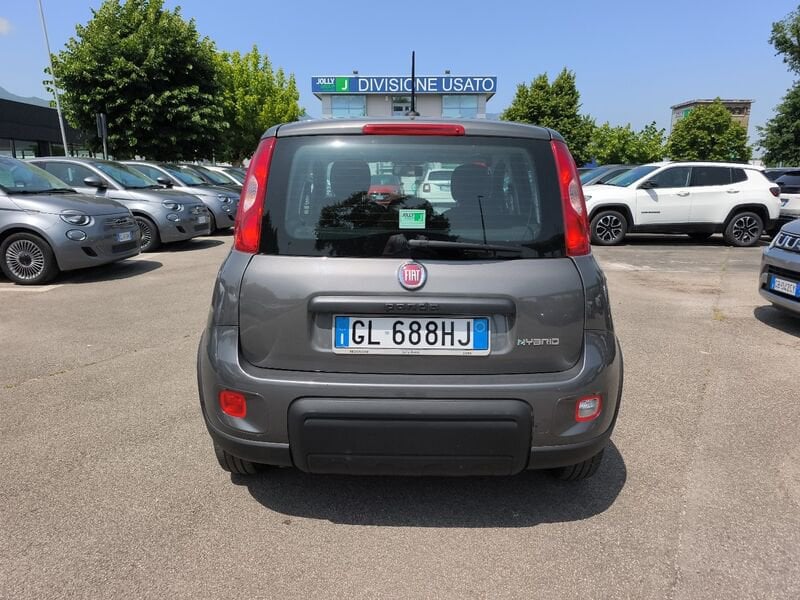 Image 5